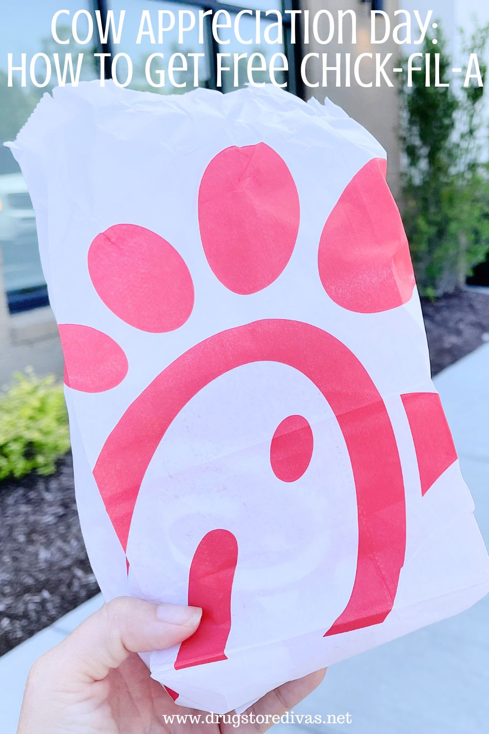 A hand holding a bag with a red chicken image on it and the words 