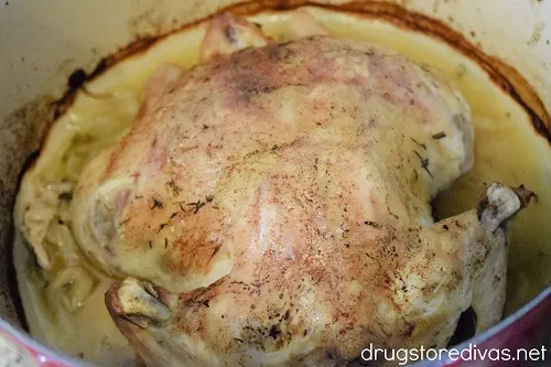 A whole chicken in a Dutch oven.
