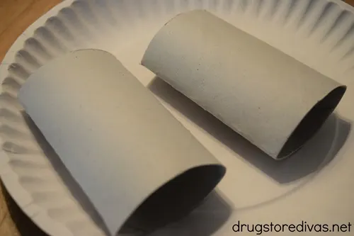 Two toilet paper roll tubes on a paper plate.