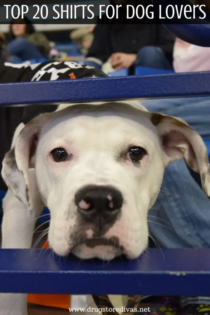 Dog looking out the railing in a sports arena with the words "Top 20 Shirts For Dog Lovers" digitally written on top.