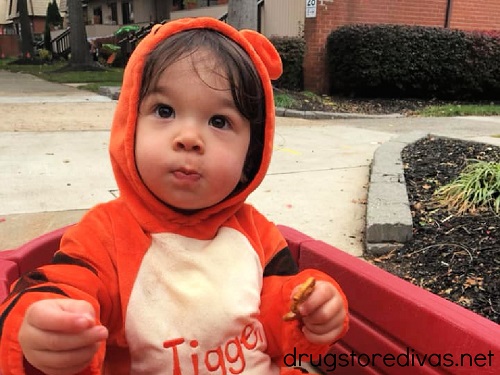 A baby dressed in a Tigger Halloween costume.