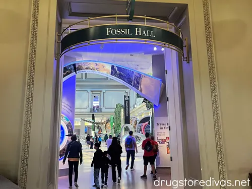 The entrance to Fossil Hall in the National Museum of Natural History in Washington, DC.