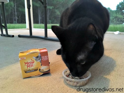 #ad Animal shelters really need donations, especially this time of year. Find out how to create an animal shelter donation box from www.drugstoredivas.net. #MeowMixatTarget