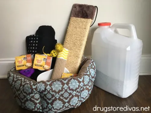 #ad Animal shelters really need donations, especially this time of year. Find out how to create an animal shelter donation box from www.drugstoredivas.net. #MeowMixatTarget