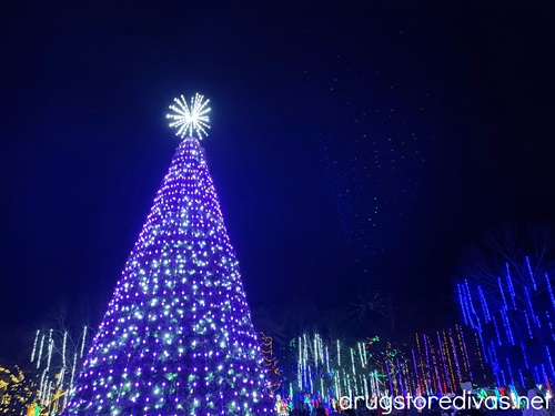 The Christmas tree and decorations at Leland in Lights.