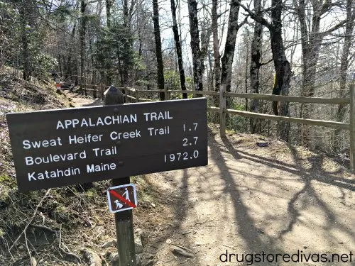 An Appalachian Trail sign in the Great Smoky Mountains National Park.