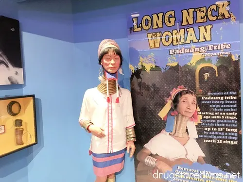 An exhibit of the Long Neck Woman inside Ripley's Believe It Or Not in Myrtle Beach, SC.