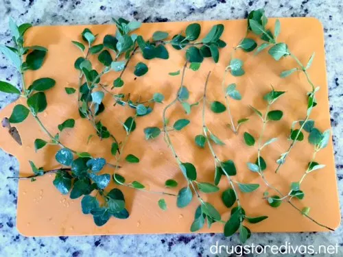 Growing herbs? Are they getting out of control? Learn how to dry oregano in this post from www.drugstoredivas.net.