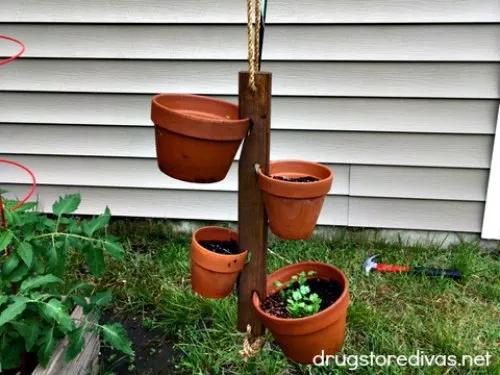 Hanging gardens are a great way to plant when you don't have much space. Find out how to hang a hanging garden in this post from www.drugstoredivas.net.