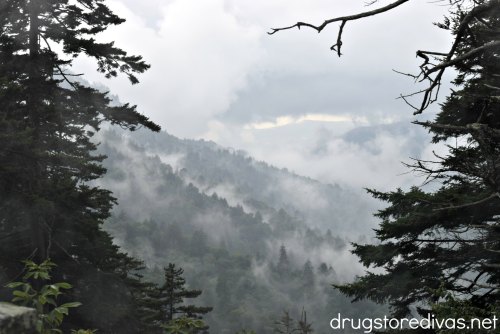 Smoky Mountains State Park.