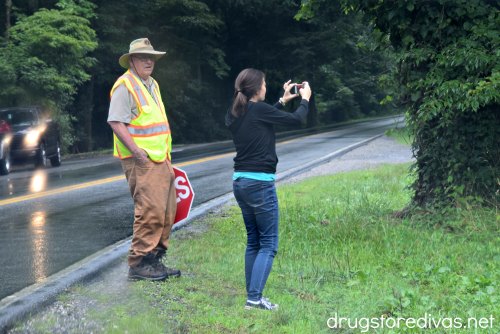 Planning a drive through the Smoky Mountains? Find out what you need to pack in this post from www.drugstoredivas.net.