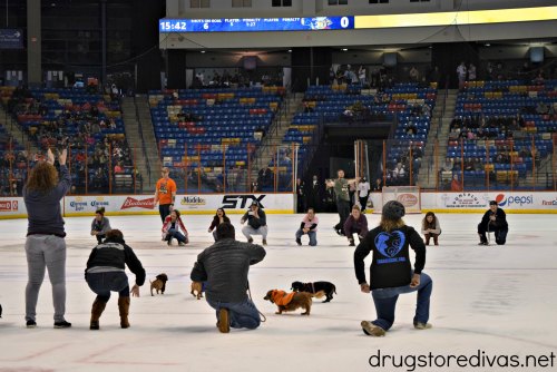 A Fayetteville Marksmen game is a great frugal family night out. Find out what to expect at a Fayetteville Marksmen game at Crown Coliseum in this post from www.drugstoredivas.net.