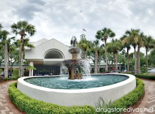 Planning a trip to Hilton Head Island, SC? Check out this 24 Hours On Hilton Head Island post from www.drugstoredivas.net.