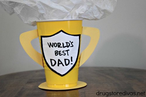 This DIY World's Best Dad Trophy is a really cute Father's Day craft. Get the simple tutorial on www.drugstoredivas.net.