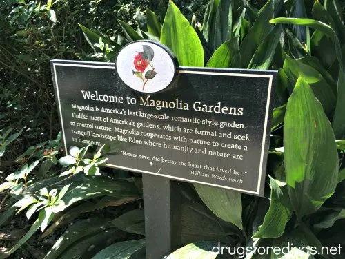 The welcome sign at Magnolia Plantations And Gardens.