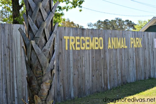 A fence at Tregembo Animal Park in Wilmington, NC.