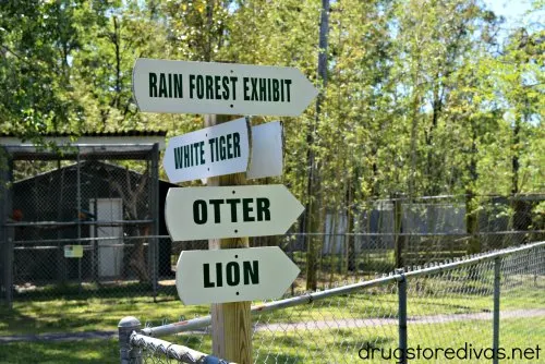 Tregembo Animal Park is the perfect roadside road stop in Wilmington, NC. Find out about the zoo in Wilmington, NC at www.drugstoredivas.net.