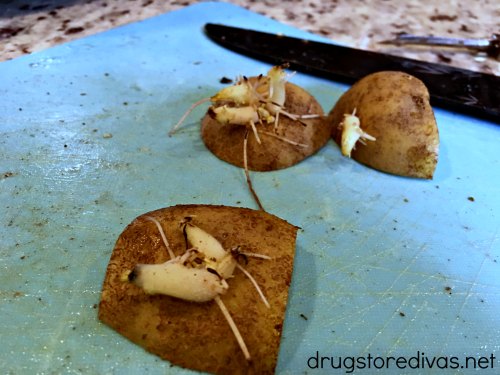 Believe it or not, growing potatoes at home is so easy. Find out How To Grow Potatoes on www.drugstoredivas.net.