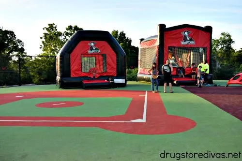 Professional baseball has hit Fayeteville, NC. Check out the Woodpeckers -- and find out everything you need to know about a Fayetteville Woodpeckers game at www.drugstoredivas.net. #TakeFlight