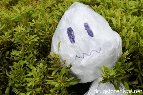 A garbage bag ghost in a hedge.