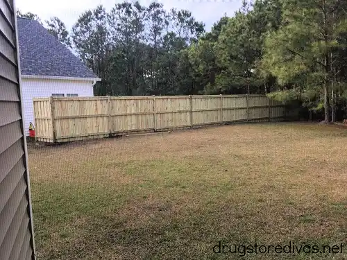 A backyard fence.