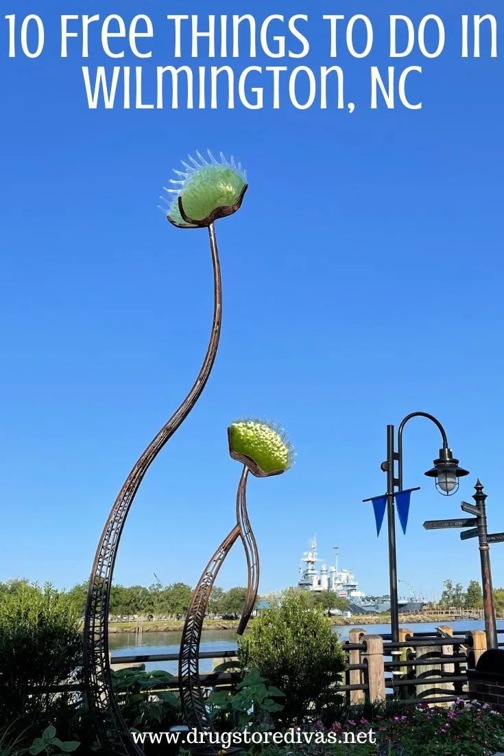 Two venus flytrap statues over a river with a battleship in the back with the words 