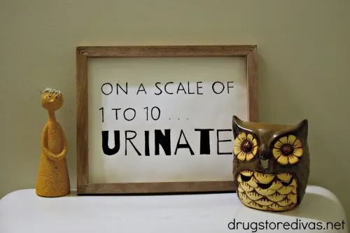 Your guests will laugh when they use your bathroom and see this DIY "On A Scale Of 1 To 10 ... Urinate" Funny Bathroom Sign. Find out how to make it, without a vinyl cutting machine, on www.drugstoredivas.net.