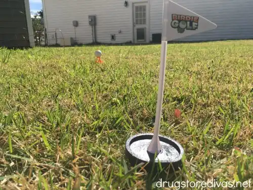 A birdie golf tee.