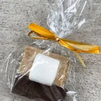 S'mores ingredients in a bag with the words 