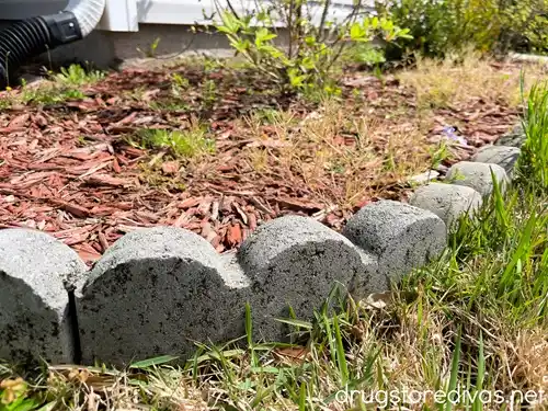 Concrete edging around a mulch bed.