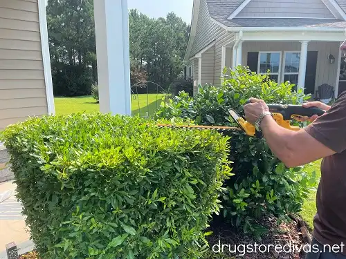 A man trimming hedges in the front of a house.