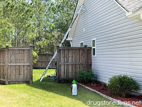 A ladder next to a house a with a bottle with power washing liquid in front of it.