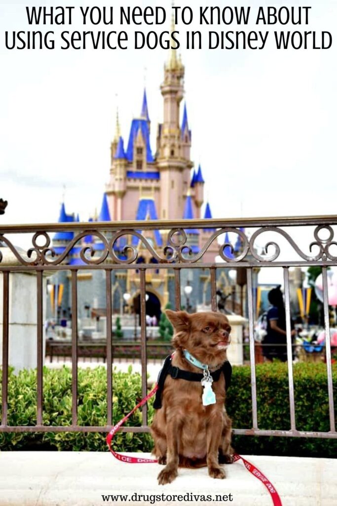A service dog in front of Cinderella's castle in Disney World with the words "What You Need To Know About Using Service Dogs In Disney World" digitally written above it.