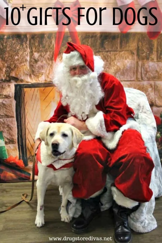 Dog with Santa and the words "10+ Gifts For Dogs" digitally written on top.