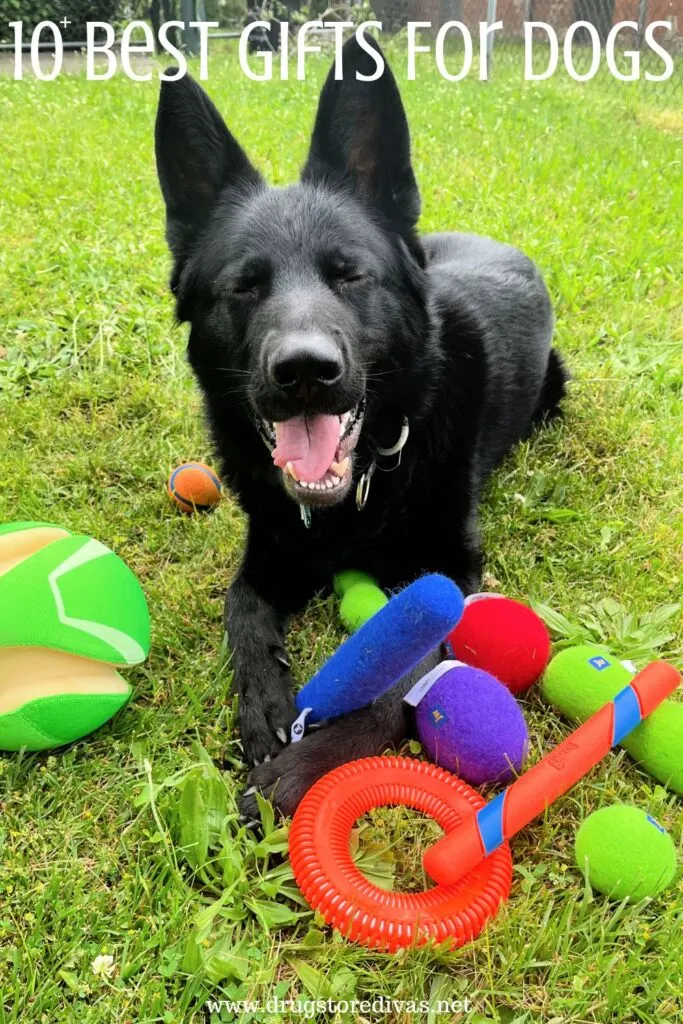 A black dog surrounded by dog toys and the words "10+ Best Gifts For Dogs" digitally written on top.