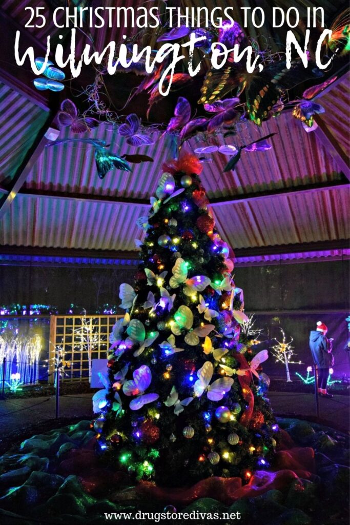 Butterfly tree in Airlie Gardens, decorated for Christmas, with the words "25 Christmas Things To Do In Wilmington, NC" written on top.