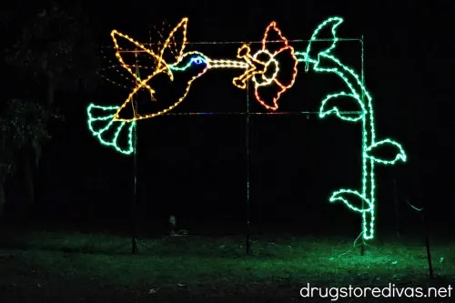 A hummingbird and flower light at Enchanted Airlie at Airlie Gardens in Wilmington, NC.