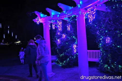 Two women and a girl walking in a display at Enchanted Airlie at Airlie Gardens in Wilmington, NC.