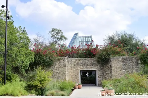 An exhibit at the San Antonio Botanical Garden.