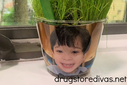 This adorable craft is also a science experiment. Check out this DIY Grass Head Photo Planter tutorial, perfect for 3- to 5-year-olds.