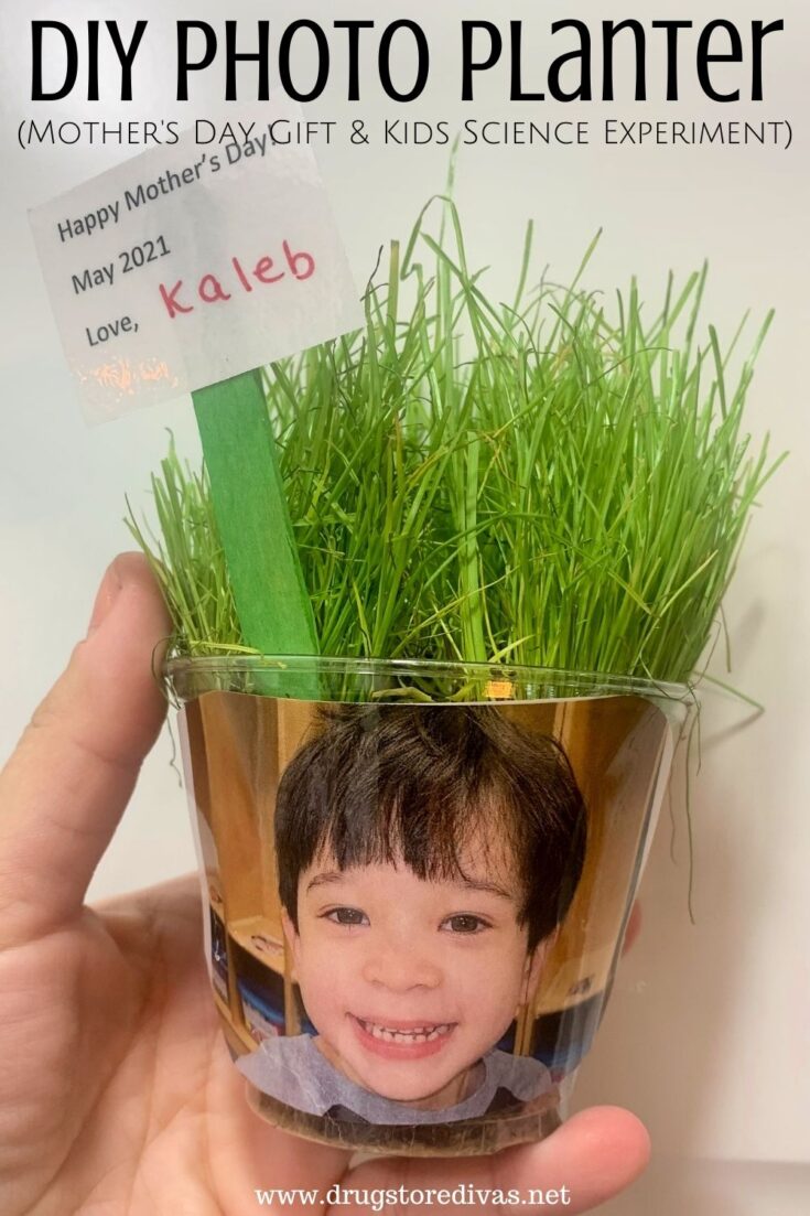 DIY Grass Head Photo Planter (Mother's Day Gift & Kids Science Experiment)