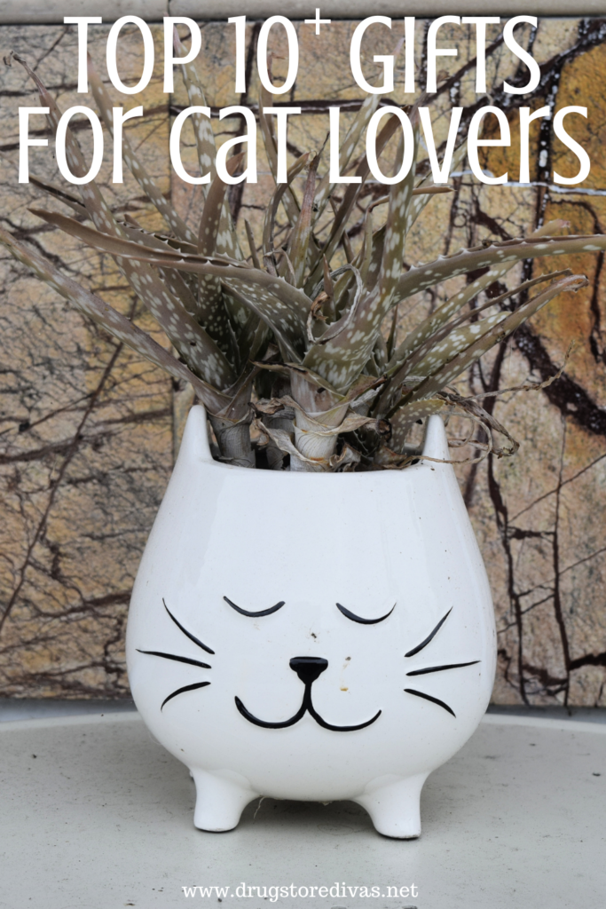 A cat-shaped planter with the words "Top 10+ Gifts For Cat Lovers" digitally written above it.