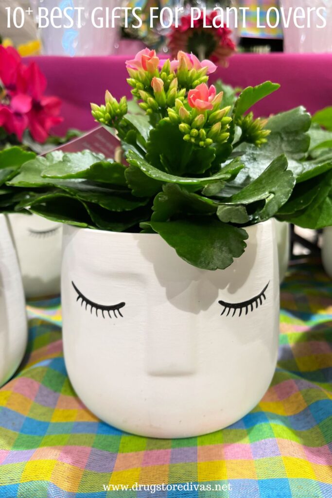 A face-shaped vase with a succulent in it with the words "10+ Best Gifts For Plant Lovers" digitally written on top.
