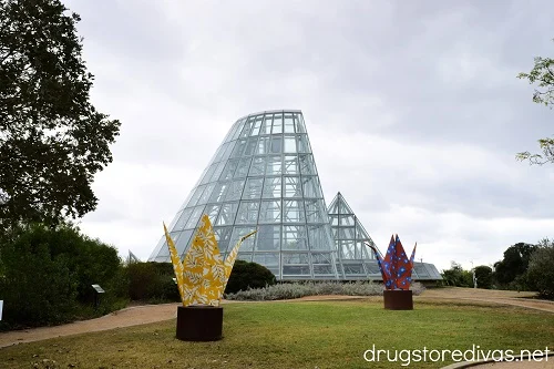 If you're planning a trip to San Antonio, you need to add the San Antonio Botanical Garden to your list of things to do. Find out in this San Antonio Botanical Garden review.