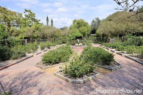 If you're planning a trip to San Antonio, you need to add the San Antonio Botanical Garden to your list of things to do. Find out in this San Antonio Botanical Garden review.