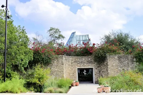 An observation center at the San Antonio Botanical Garden.