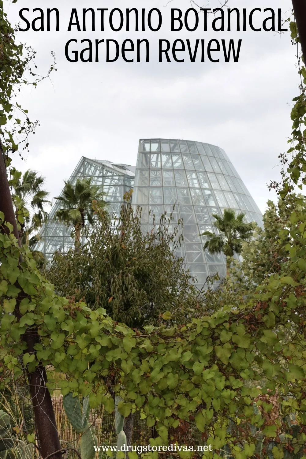 If you're planning a trip to San Antonio, you need to add the San Antonio Botanical Garden to your list of things to do. Find out in this San Antonio Botanical Garden review.