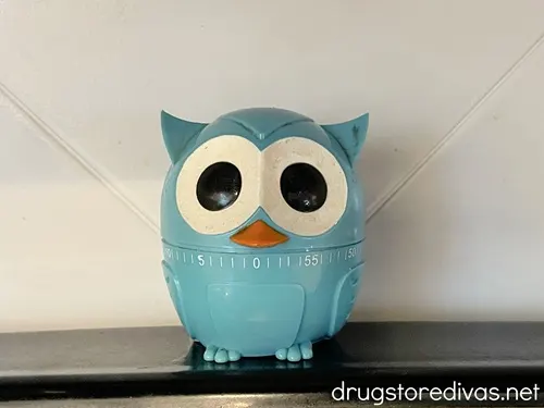 A blue owl-shaped kitchen timer in a kitchen.