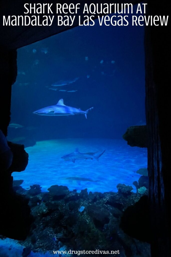 Looking for things to do in Las Vegas? Check out this Shark Reef Aquarium At Mandalay Bay Las Vegas review to decide if you should go.