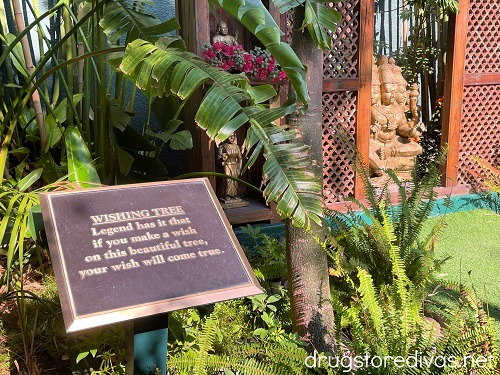 Sign in front of a wishing tree.